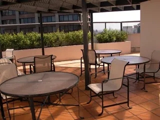 1 Bedroom Apartment SYD08-802 -