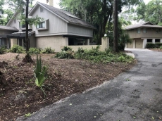 DRIVEWAY TO CARPORT