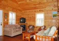 Cabin-Pet Friendly, on Blue Ridge Parkway, WiFi, firepit, frpl, jetted tub