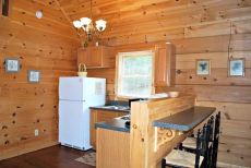 Cabin-Pet Friendly, on Blue Ridge Parkway, WiFi, firepit, frpl, jetted tub