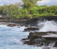 3 bedrooms in Big Island, Hawaii