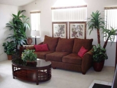 3 bedrooms in Kissimmee, Florida