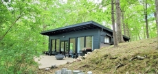 Escape to Black Walnut Cabin