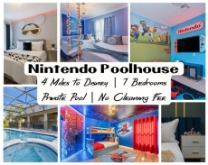 Nintendo Poolhouse