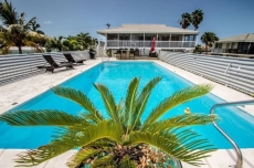 Watch dolphins play in Shelter Cove while swimming in our olympic size pool