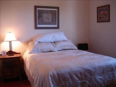 Lush, Light Garden Apartment in Central Historic Tucson