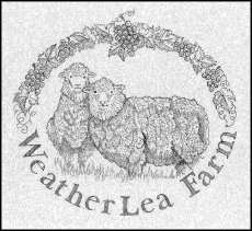 Our farm logo - WeatherLea sheep (raised fro fine wool) and wine gra