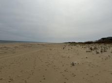 Beach Facing South, 20 mi. to Outer Banks, NC