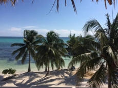 Ocean View Queen Suite #8 - The Palapa House