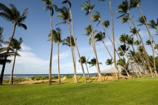 Oceanfront- 2 Bedroom 2 Bath Condo in Central Kihei-#106