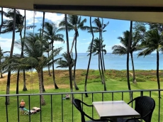 Oceanfront 1BD Sunset View Condo in Central Kihei