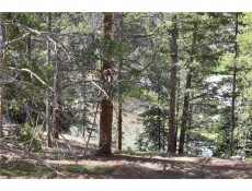 Snake river through the trees