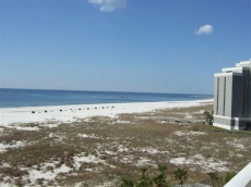 Tidewater 803 - Beautiful Beachfront 1BD/1BA, plus kid's bunk alcove. Great Views!