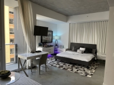 VIP Luxury High Rise Downtown Miami Condo