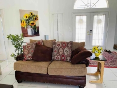 Living room and foyer